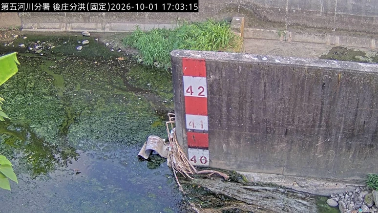 後庄分洪水道旁的紅白量水標尺 CCTV 畫面